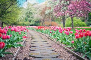 Commercial Landscape and Irrigation Portfolio MAK Landscape and Irrigation Corvallis Oregon