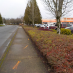 Commercial Property Cleanup and Landscaping Maintenance at Home Depot, Philomath, Corvallis, Lebanon, Eugene, Springfield, Albany, Salem, Portland, Oregon 1