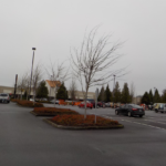 Commercial Property Cleanup and Landscaping Maintenance at Home Depot, Philomath, Corvallis, Lebanon, Eugene, Springfield, Albany, Salem, Portland, Oregon 17