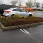 Commercial Property Cleanup and Landscaping Maintenance at Home Depot, Philomath, Corvallis, Lebanon, Eugene, Springfield, Albany, Salem, Portland, Oregon 28