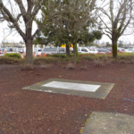 Commercial Property Cleanup and Landscaping Maintenance at Home Depot, Philomath, Corvallis, Lebanon, Eugene, Springfield, Albany, Salem, Portland, Oregon 3