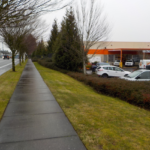 Commercial Property Cleanup and Landscaping Maintenance at Home Depot, Philomath, Corvallis, Lebanon, Eugene, Springfield, Albany, Salem, Portland, Oregon 36