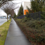 Commercial Property Cleanup and Landscaping Maintenance at Home Depot, Philomath, Corvallis, Lebanon, Eugene, Springfield, Albany, Salem, Portland, Oregon 38