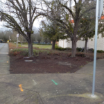 Commercial Property Cleanup and Landscaping Maintenance at Home Depot, Philomath, Corvallis, Lebanon, Eugene, Springfield, Albany, Salem, Portland, Oregon 4
