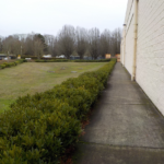Commercial Property Cleanup and Landscaping Maintenance at Home Depot, Philomath, Corvallis, Lebanon, Eugene, Springfield, Albany, Salem, Portland, Oregon 5