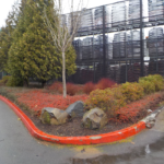 Commercial Property Cleanup and Landscaping Maintenance at Home Depot, Philomath, Corvallis, Lebanon, Eugene, Springfield, Albany, Salem, Portland, Oregon 52