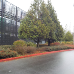 Commercial Property Cleanup and Landscaping Maintenance at Home Depot, Philomath, Corvallis, Lebanon, Eugene, Springfield, Albany, Salem, Portland, Oregon 54