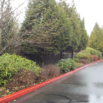 Commercial Property Cleanup and Landscaping Maintenance at Home Depot, Philomath, Corvallis, Lebanon, Eugene, Springfield, Albany, Salem, Portland, Oregon 55