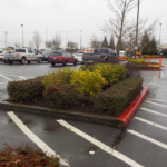 Commercial Property Cleanup and Landscaping Maintenance at Home Depot, Philomath, Corvallis, Lebanon, Eugene, Springfield, Albany, Salem, Portland, Oregon 59