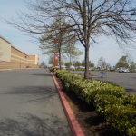 Home Depot, Retail Property and Landscape Maintenance Services,, Eugene, Springfield, Philomath, Corvallis, Lebanon, Albany, Salem, Oregon 32