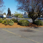 Retail Property Landscape Maintenance Eugene Springfield Philomath Corvallis Lebanon Albany Salem Oregon 19