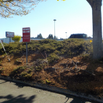 Retail Property Landscape Maintenance Eugene Springfield Philomath Corvallis Lebanon Albany Salem Oregon 29
