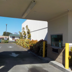 Retail Property Landscape Maintenance Eugene Springfield Philomath Corvallis Lebanon Albany Salem Oregon 4