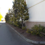 Retail Property Landscape Maintenance Eugene Springfield Philomath Corvallis Lebanon Albany Salem Oregon 5