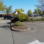 Retail Property Landscape Maintenance Eugene Springfield Philomath Corvallis Lebanon Albany Salem Oregon 7