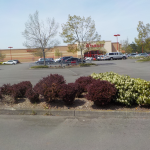 Target, Retail Property and Landscape Maintenance Services, Eugene, Springfield, Philomath, Corvallis, Lebanon, Albany, Salem, Oregon 13