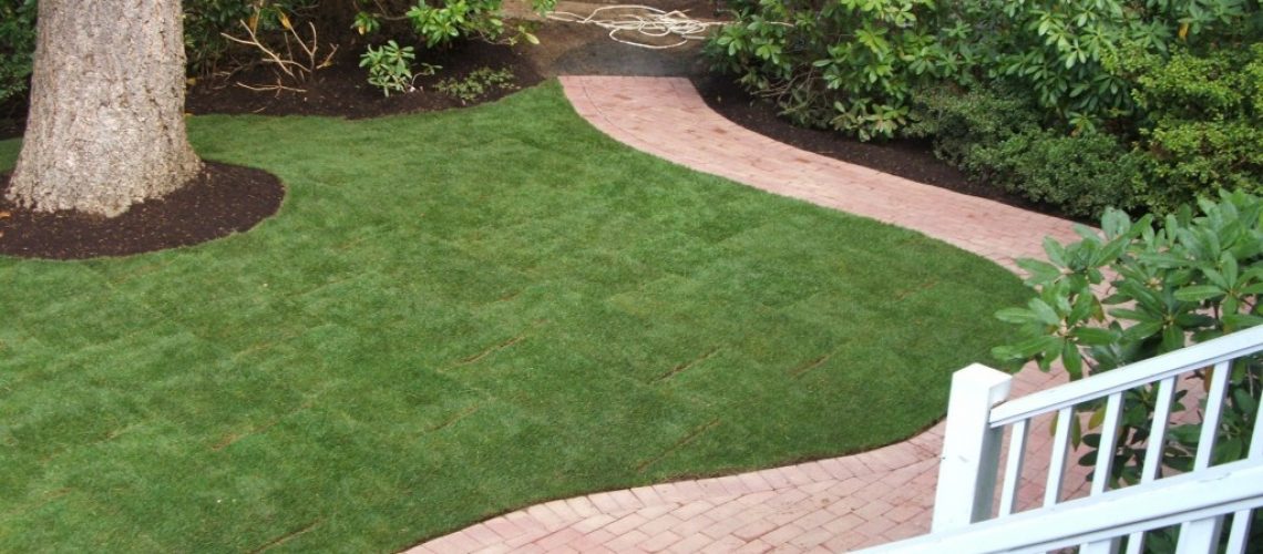 Paver Pathway Landscape Design in Corvallis Oregon 3